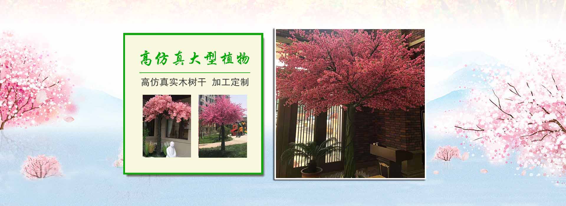 �m����늹�S��